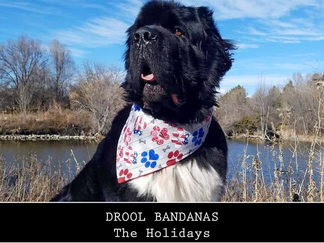 DOG DROOL BANDANAS the Holidays Etsy