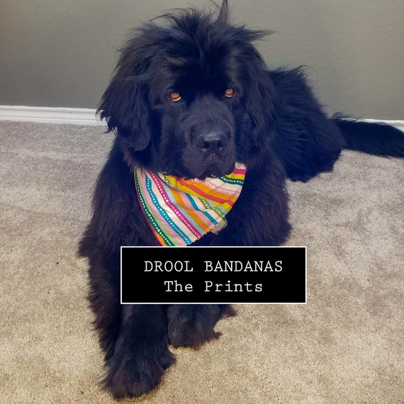 DOG DROOL BANDANAS The Prints Etsy