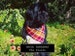 DOG DROOL BANDANAS - The Plaids 