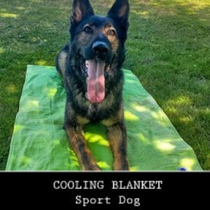 Sport Dog Cooling Blanket