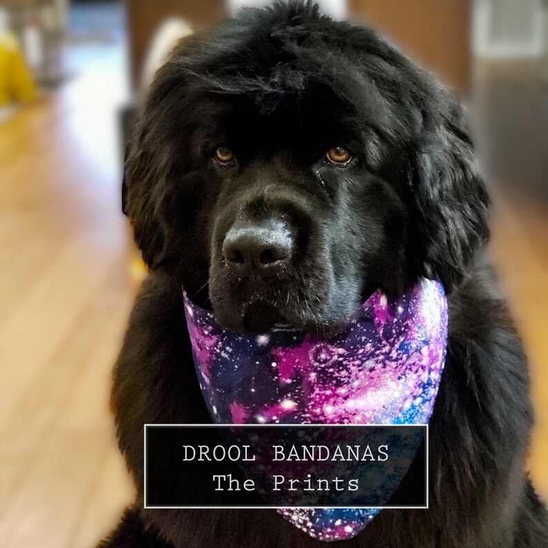 DOG DROOL BANDANAS the Prints Etsy