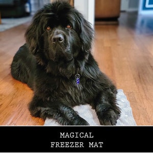 MAGICAL FREEZER MAT