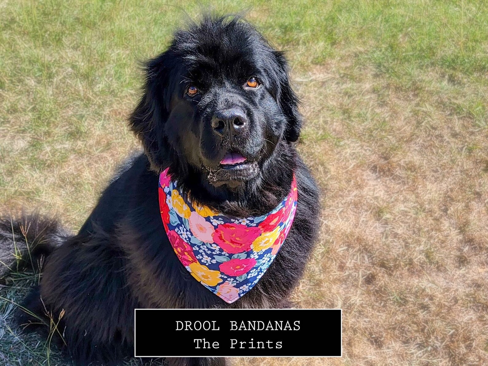 DOG DROOL BANDANAS the Prints Etsy
