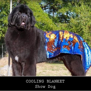 Show Dog Cooling Blanket