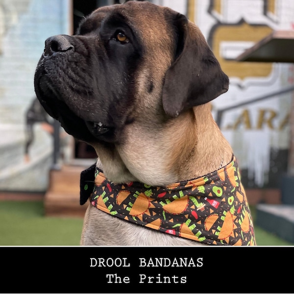 DOG DROOL BANDANAS - The Prints