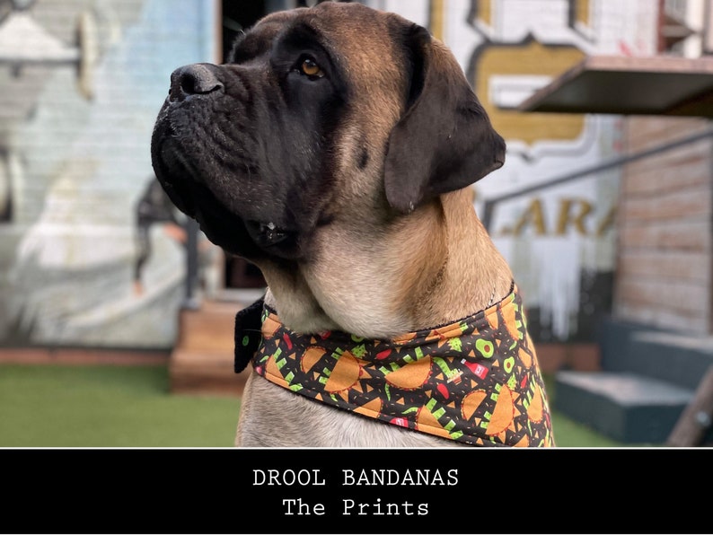 May include: A large brown and black dog wearing a black bandana with a colorful taco print. The bandana has a green avocado, red hot peppers, and yellow and orange tacos on it. The text "DROOL BANDANAS The Prints" is at the bottom of the image.