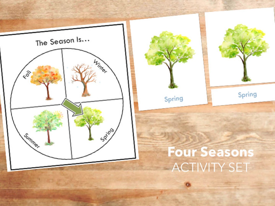 Seasons Activity Set / 3 Part Montessori Cards / Homeschool | Etsy