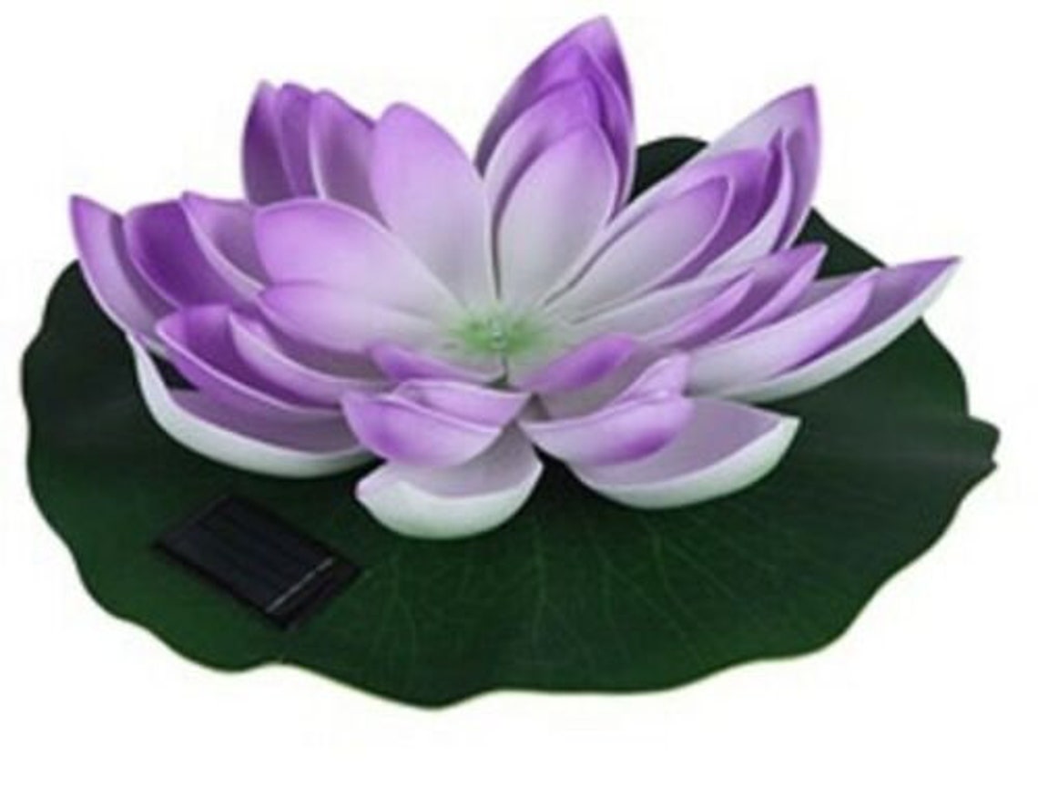 Pastel Colour Small Metal Watering Can 900ml Retro Watering Etsy