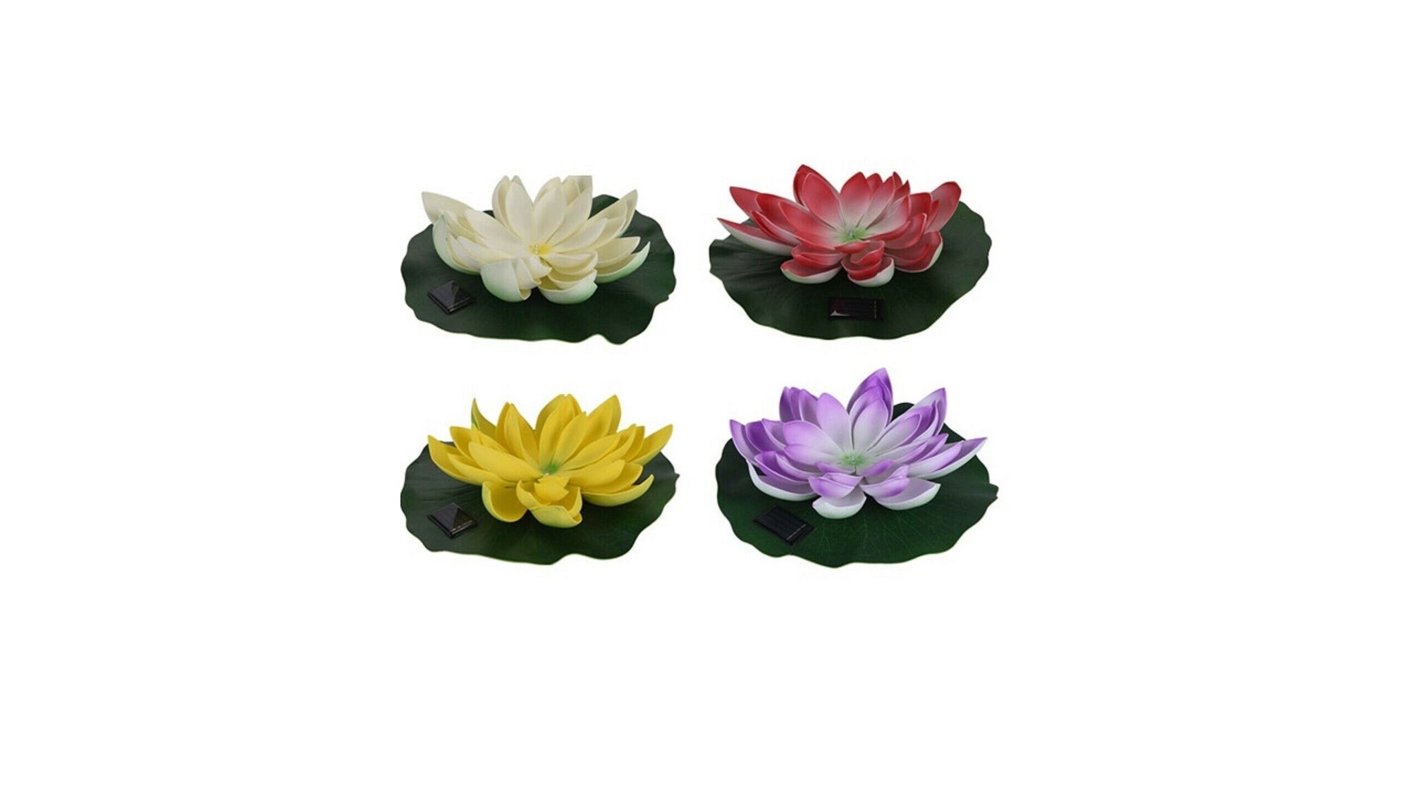 Pastel Colour Small Metal Watering Can 900ml Retro Watering Etsy