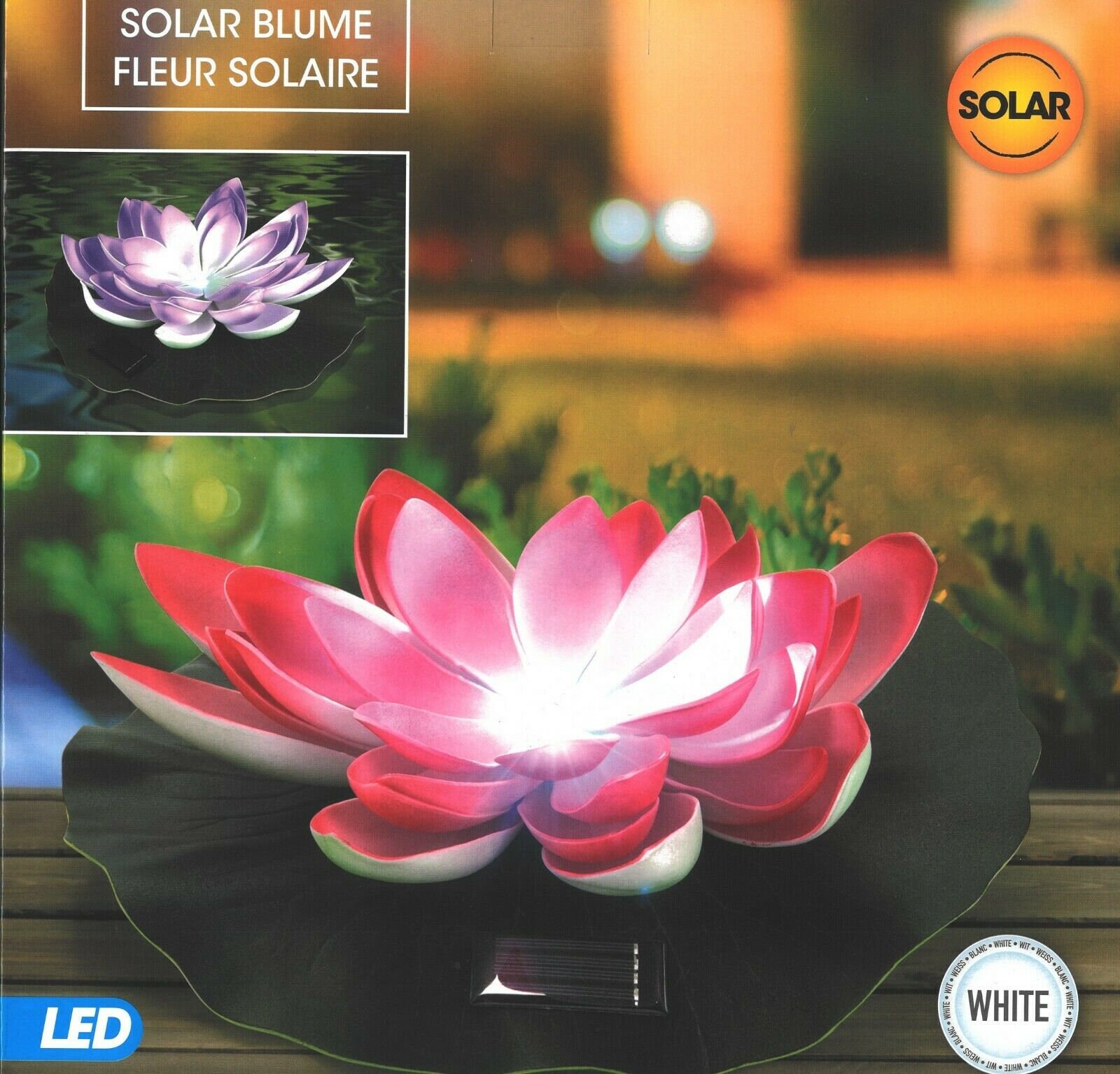 Pastel Colour Small Metal Watering Can 900ml Retro Watering Etsy