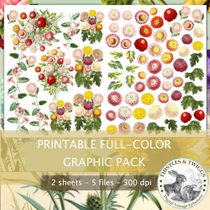MUMS and VINES Pack of GRAPHICS digital download 300 dpi vintage theme set for scrapbooking and journaling.