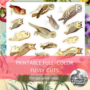 OWLS téléchargement numérique 300 dpi vintage Fussy Cut graphiques pour le scrapbooking et la journalisation