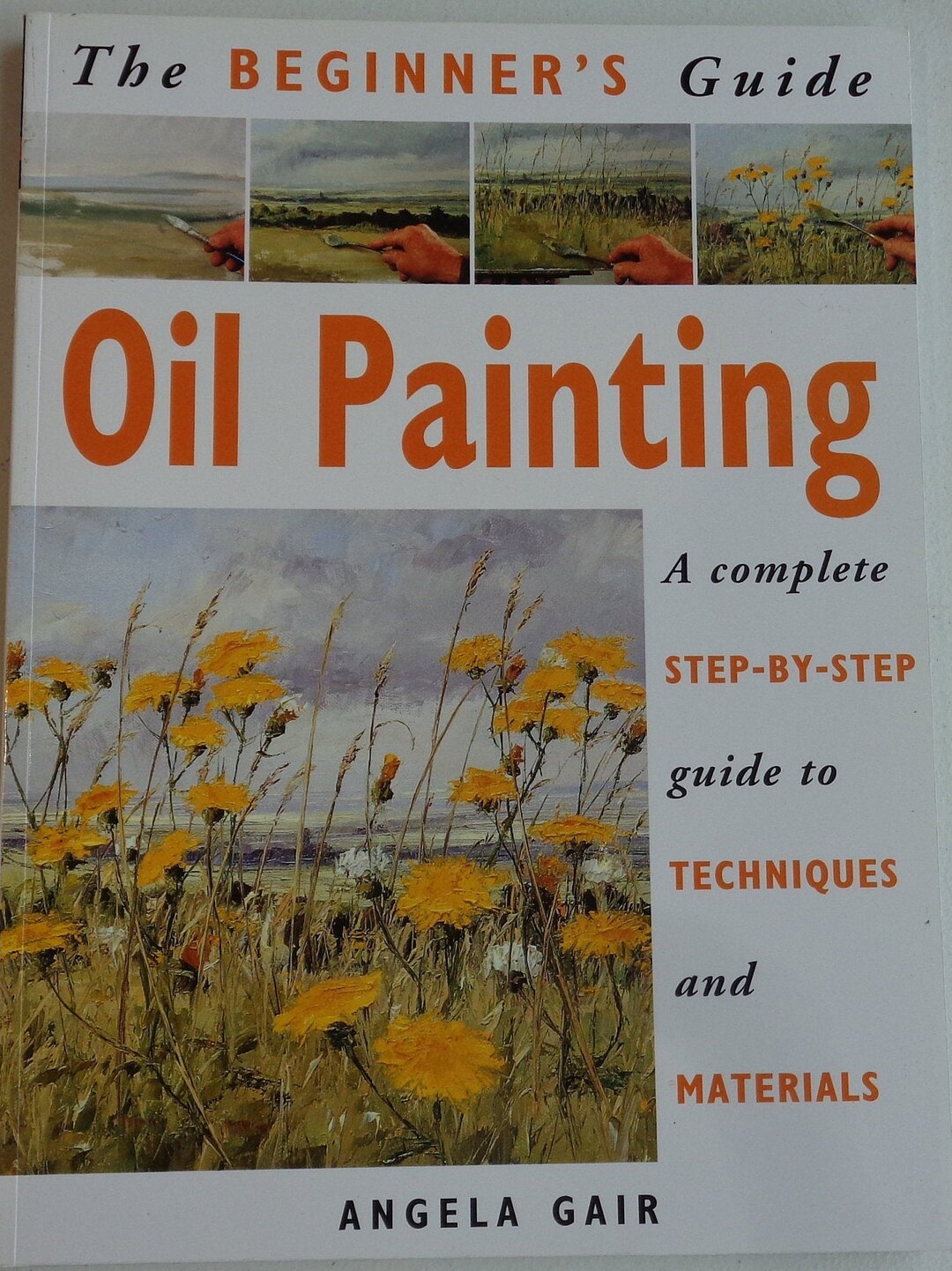 The Beginner's Guide to Oil Painting by Angela Gair. A Complete  Step-by-step Guide to Techniques and Materials. 