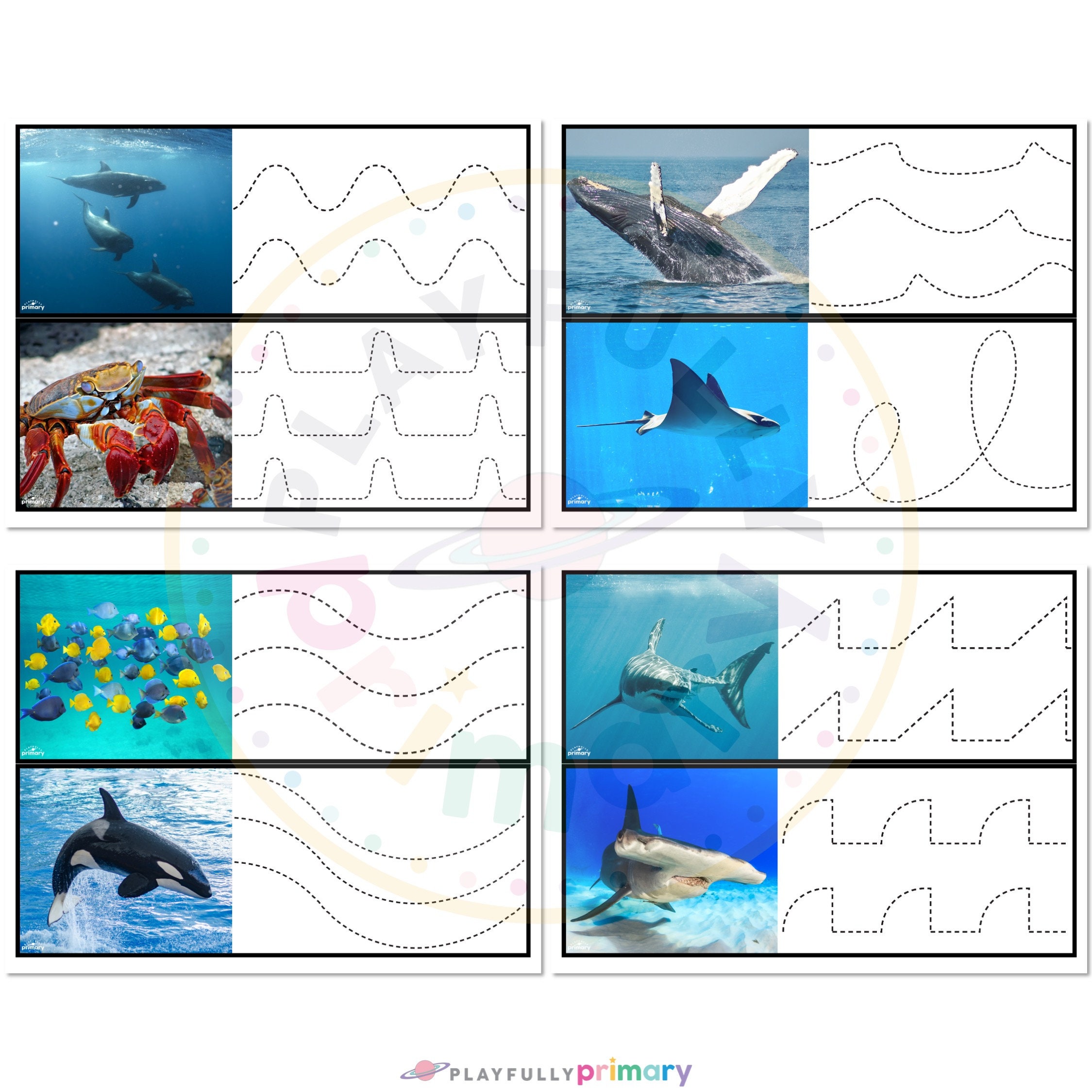 Under the Sea Preschool Ocean Unit Study Activity, Montessori Ocean ...