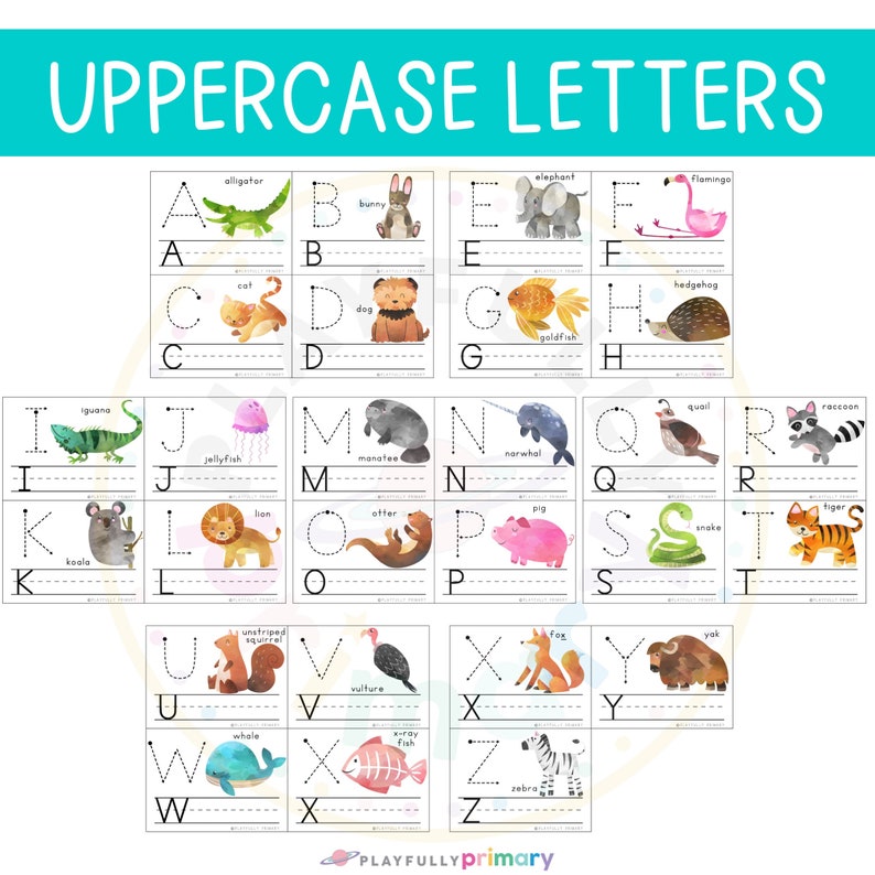 K&ouml;nnte beinhalten: Ein Satz von 26 Alphabet-&Uuml;bungskarten mit Gro&szlig;buchstaben und Tierillustrationen. Jede Karte hat eine gestrichelte Linie zum Nachzeichnen des Buchstabens und eine entsprechende Tierillustration. Die Tiere sind ein Alligator, ein Kaninchen, eine Katze, ein Hund, ein Elefant, ein Flamingo, ein Goldfisch, ein Igel, ein Leguan, eine Qualle, ein Koala, ein L&ouml;we, ein Seekuh, ein Narwal, ein Otter, ein Schwein, eine Wachtel, ein Waschb&auml;r, eine Schlange, ein Tiger, ein gestreiftes Eichh&ouml;rnchen, ein Geier, ein Wal, ein R&ouml;ntgenfisch, ein Yak, ein Zebra und ein Fuchs.