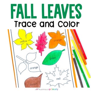Leaf Coloring Page - Fall Tracing Practice - Fall Leaves Unit Study Printable - Fall Unit Study Homeschool - Fall Kindergarten Worksheets