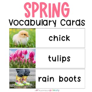 Palabras de vocabulario de primavera con imágenes, tarjetas didácticas de vocabulario de primavera para la educación en el hogar, tarjetas ilustradas de vocabulario de primavera Montessori para jardín de infantes y prekínder