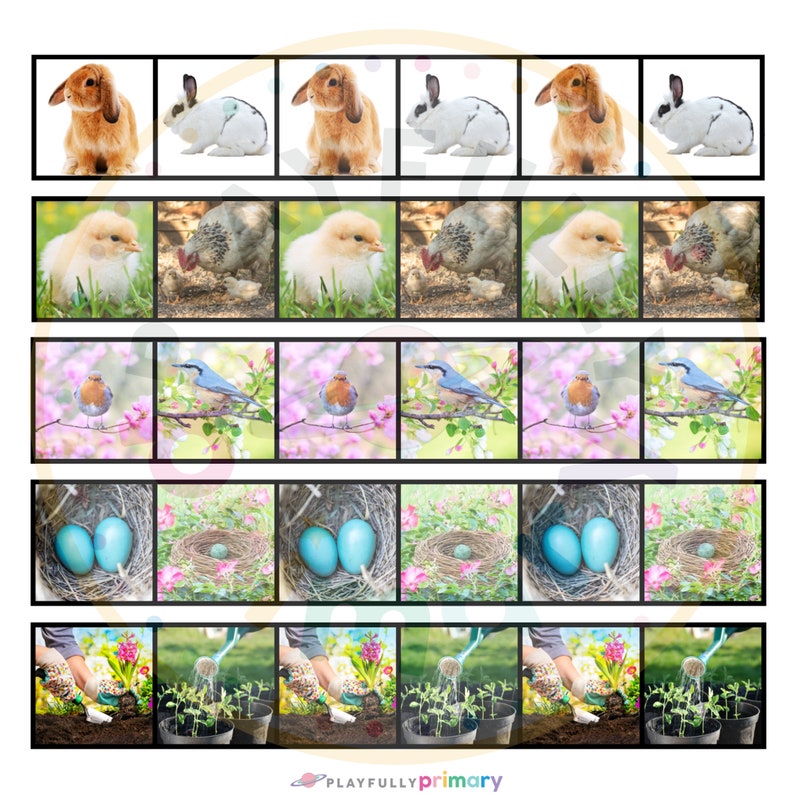 May include: A printable worksheet with five rows of images. Each row has six images of different spring-themed objects. The first row shows a brown rabbit, a white rabbit, a brown rabbit, a white rabbit, a brown rabbit, and a white rabbit. The second row shows a yellow chick, a brown hen, a yellow chick, a brown hen, a yellow chick, and a brown hen. The third row shows a bluebird, a robin, a bluebird, a robin, a bluebird, and a robin. The fourth row shows a nest with two blue eggs, a nest with one brown egg, a nest with two blue eggs, a nest with one brown egg, a nest with two blue eggs, and a nest with one brown egg. The fifth row shows a hand watering a plant, a hand watering a plant, a hand watering a plant, a hand watering a plant, a hand watering a plant, and a hand watering a plant.