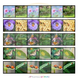 May include: A set of five colorful, illustrated cards featuring a variety of garden insects, including butterflies, ladybugs, bees, and caterpillars. The cards are designed to help children learn about the life cycle of insects.
