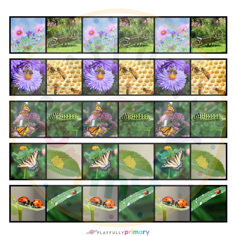 May include: A set of five colorful, illustrated cards featuring a variety of garden insects, including butterflies, ladybugs, bees, and caterpillars. The cards are designed to help children learn about the life cycle of insects.