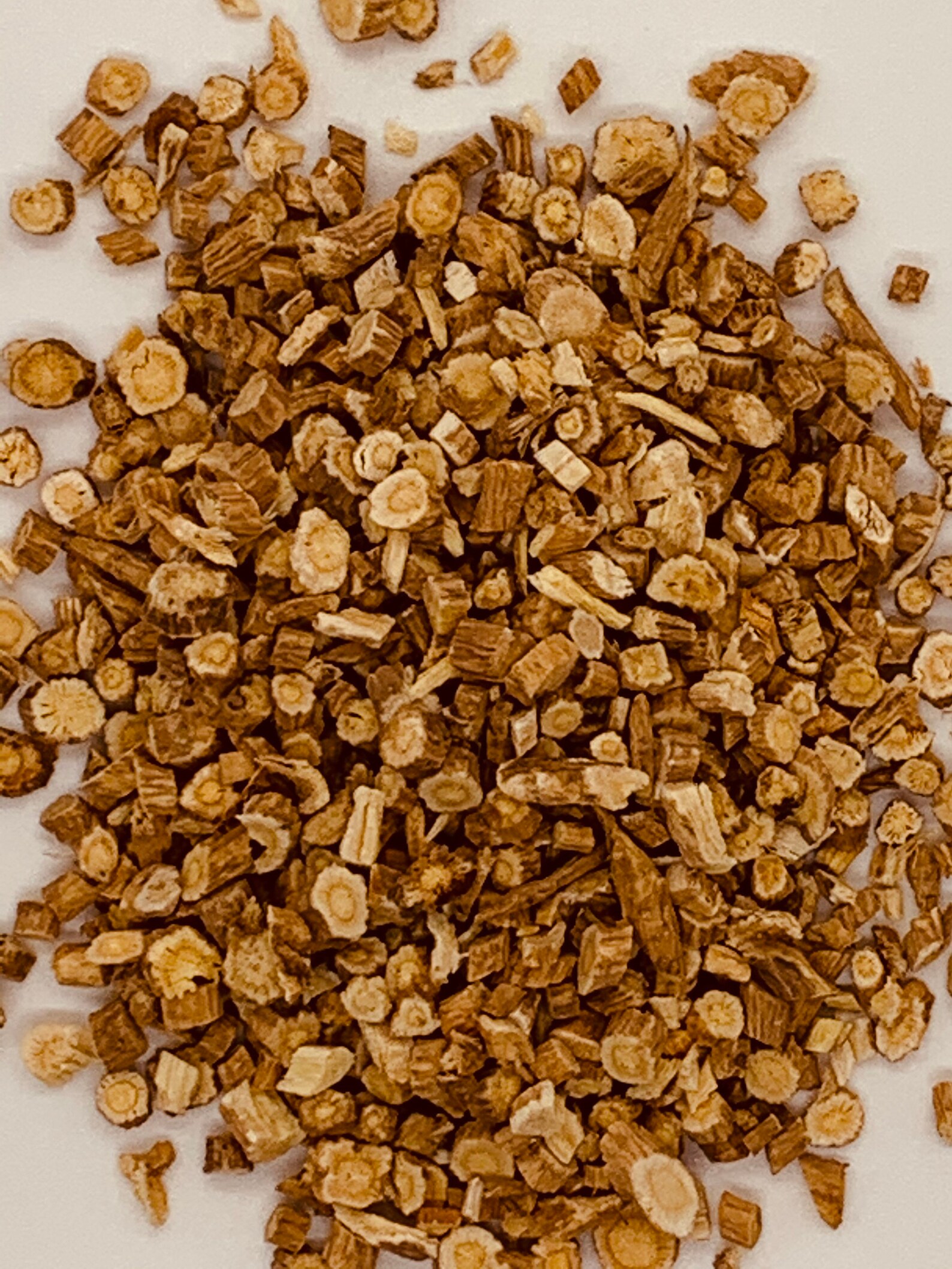 Astragalus root. Astragalus propinquus syn astragalus Etsy