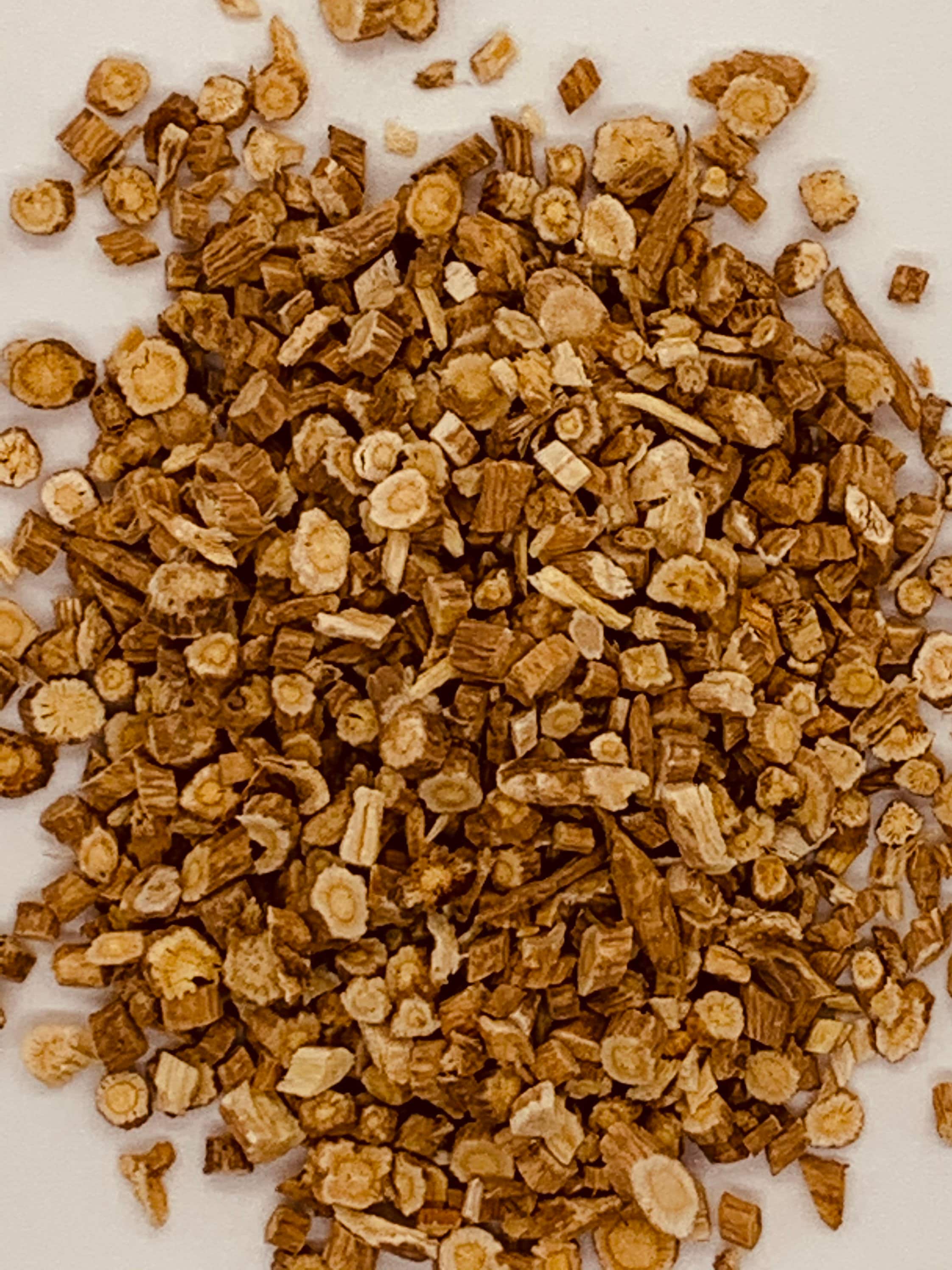 Astragalus root. Astragalus propinquus syn astragalus Etsy