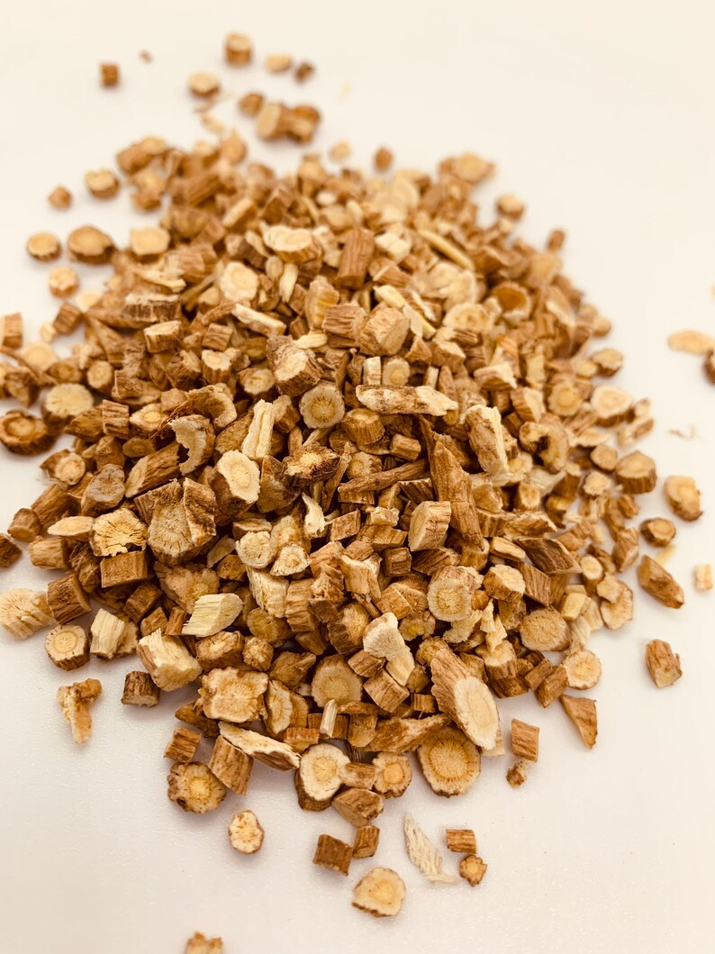 Astragalus root. Astragalus propinquus syn astragalus Etsy