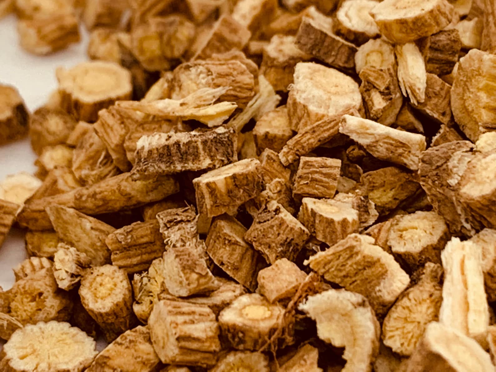 Astragalus Root. astragalus Propinquus Syn astragalus Etsy