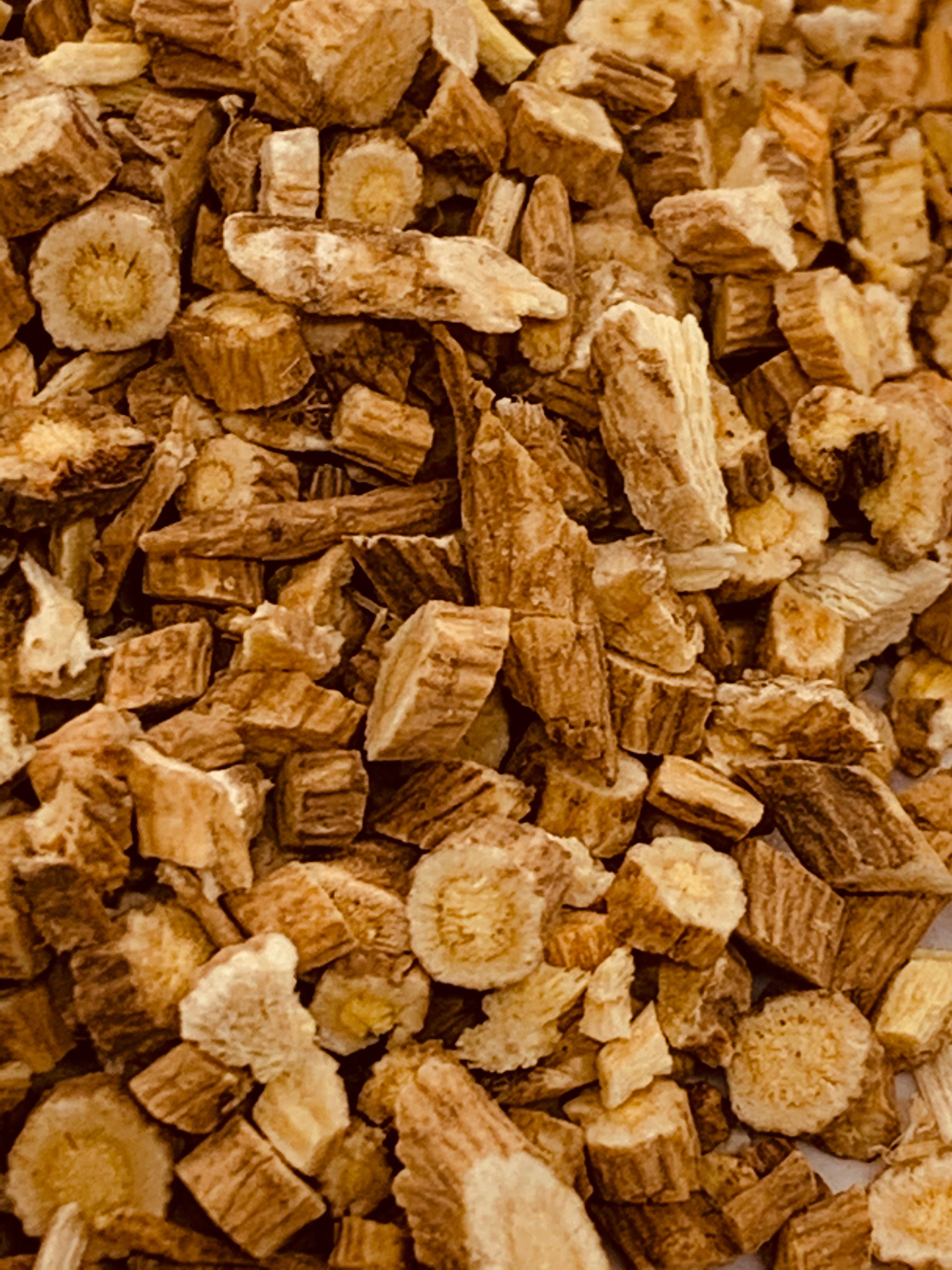 Astragalus root. Astragalus propinquus syn astragalus Etsy