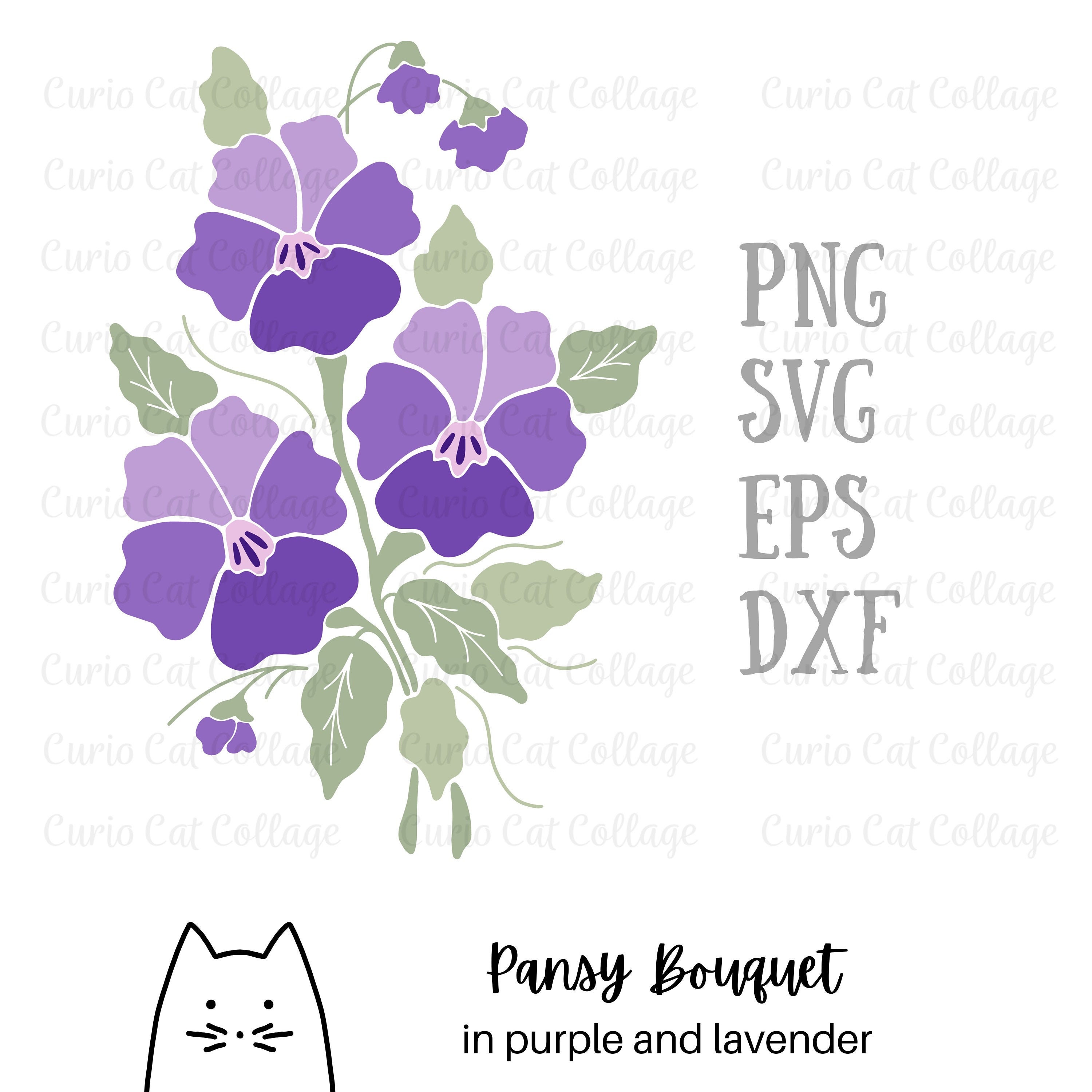 Purple Pansy Translucent Color Spray