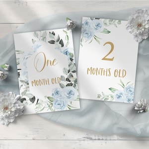 Carte d'étape mensuelle de bébé imprimable, bleu clair, fleurs d'aquarelle, cadeau de douche de bébé, téléchargement instantané