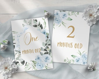 Carta miliare mensile per bambini stampabile, azzurro, fiori ad acquerello, regalo per baby shower, download istantaneo