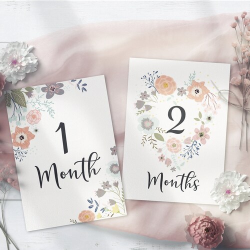 Baby Monthly Milestone Card for Baby Girl Printable Baby Month - Etsy