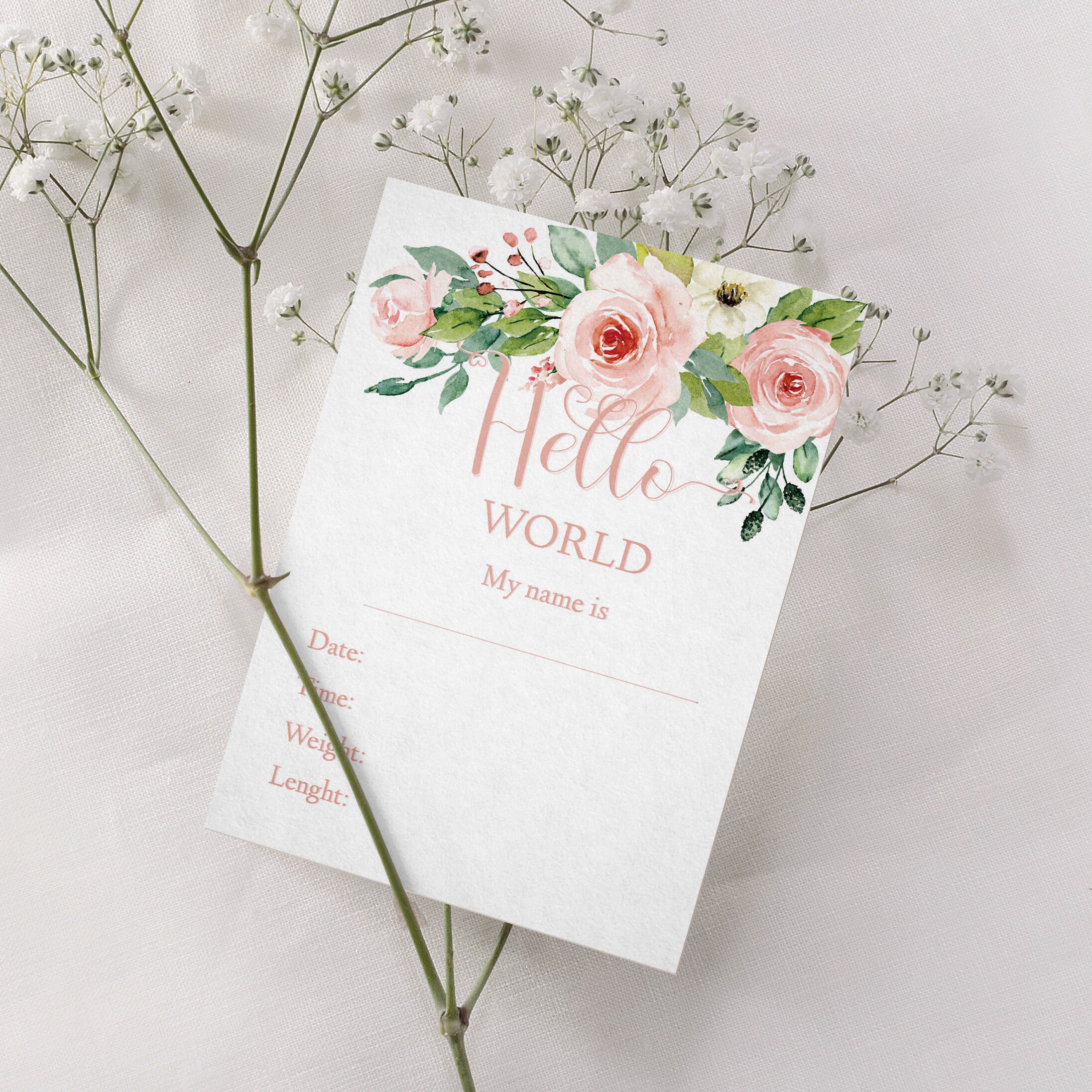 Baby Monthly Milestone Card for Baby Girl Printable Baby Month Card ...