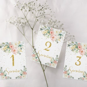 Carte d'étape mensuelle florale rose poudré et doré, bébé fille, français