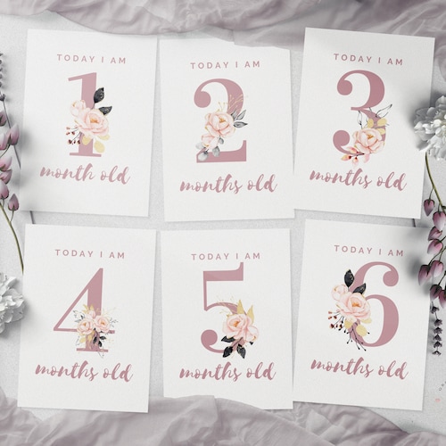 Baby Monthly Milestone Card for Baby Girl Printable Baby Month - Etsy ...