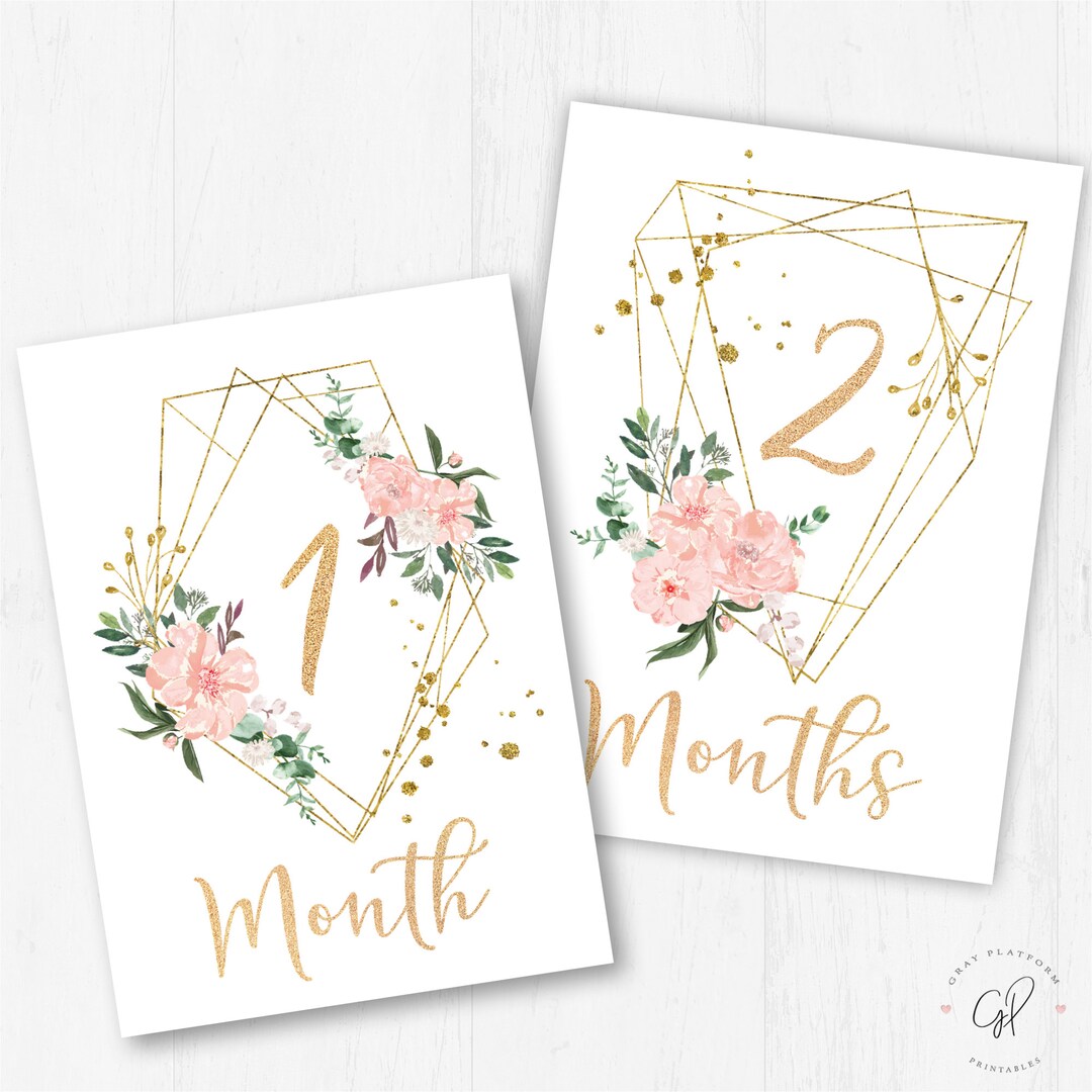 Baby Monthly Milestone Card for Baby Girl Printable Blush Pink and Gold ...