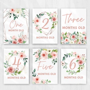 Baby Monatliche Meilenstein Karte für Baby Mädchen druckbare Baby Monatskarte Pfirsich Rosen