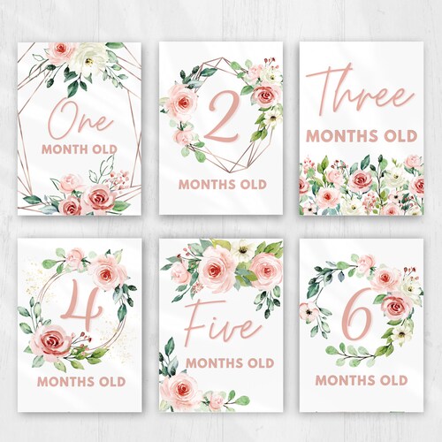 Baby Monthly Milestone Card for Baby Girl Printable Baby Month - Etsy