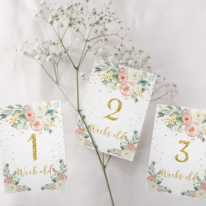 Carte d'étape mensuelle florale blush et or pour bébé fille