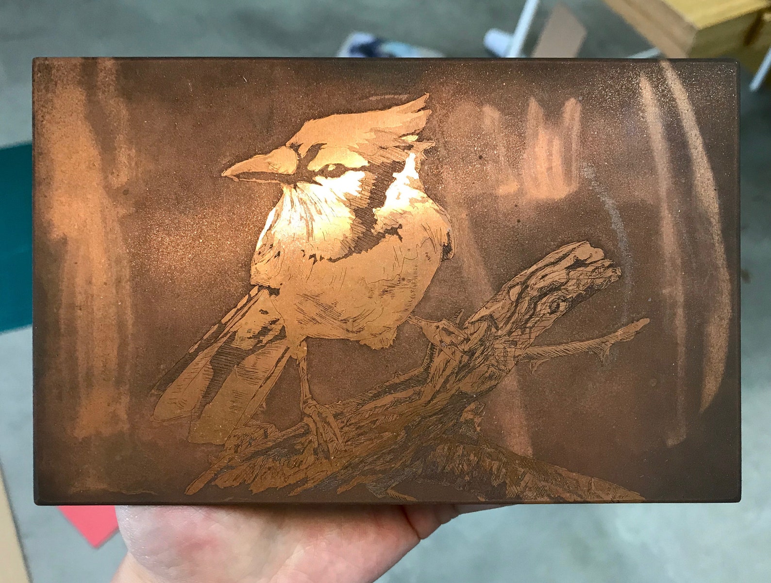 Bird Copperplate Etching on Paper Etsy