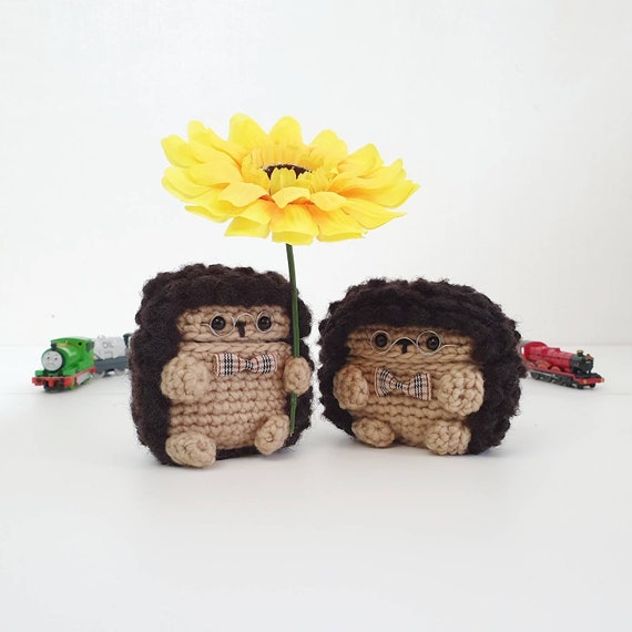 Airpods Airpod Pro Crochet Case Hedgehog Etsy