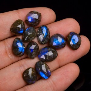 Può includere: Una collezione di dieci pietre preziose di labradorite sfaccettate in varie tonalità di blu e grigio. Le pietre sono lisce e lucidate, con un bagliore perlaceo.