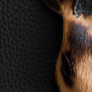 May include: Close-up of a rabbit's ear and eye, showing brown and black fur with a textured look. The ear is erect, and the eye is partly visible. The background is a dark, textured surface.