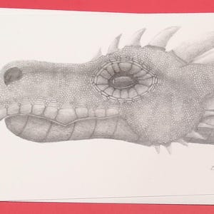 Tarjeta de Felicia la dragona sabia / Tarjeta de arte / Tarjeta de notas / Tarjeta en blanco