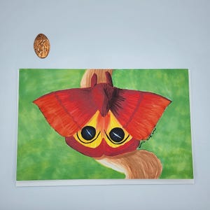 Tarjeta de felicitación de polilla IO / Tarjeta de naturaleza / Tarjeta de bellas artes