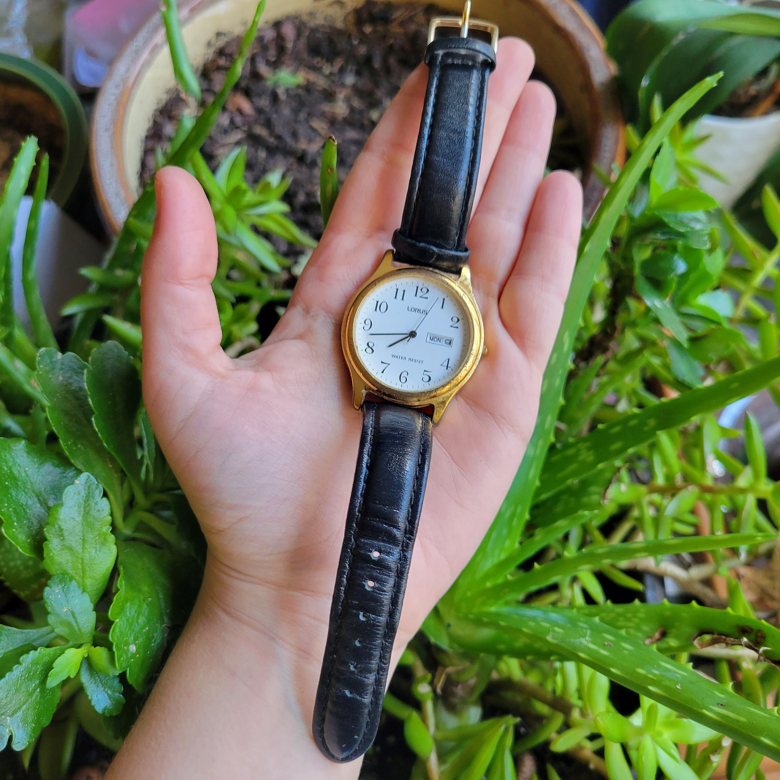 Orologi da polso da uomo, orologio classico da uomo, orologio da