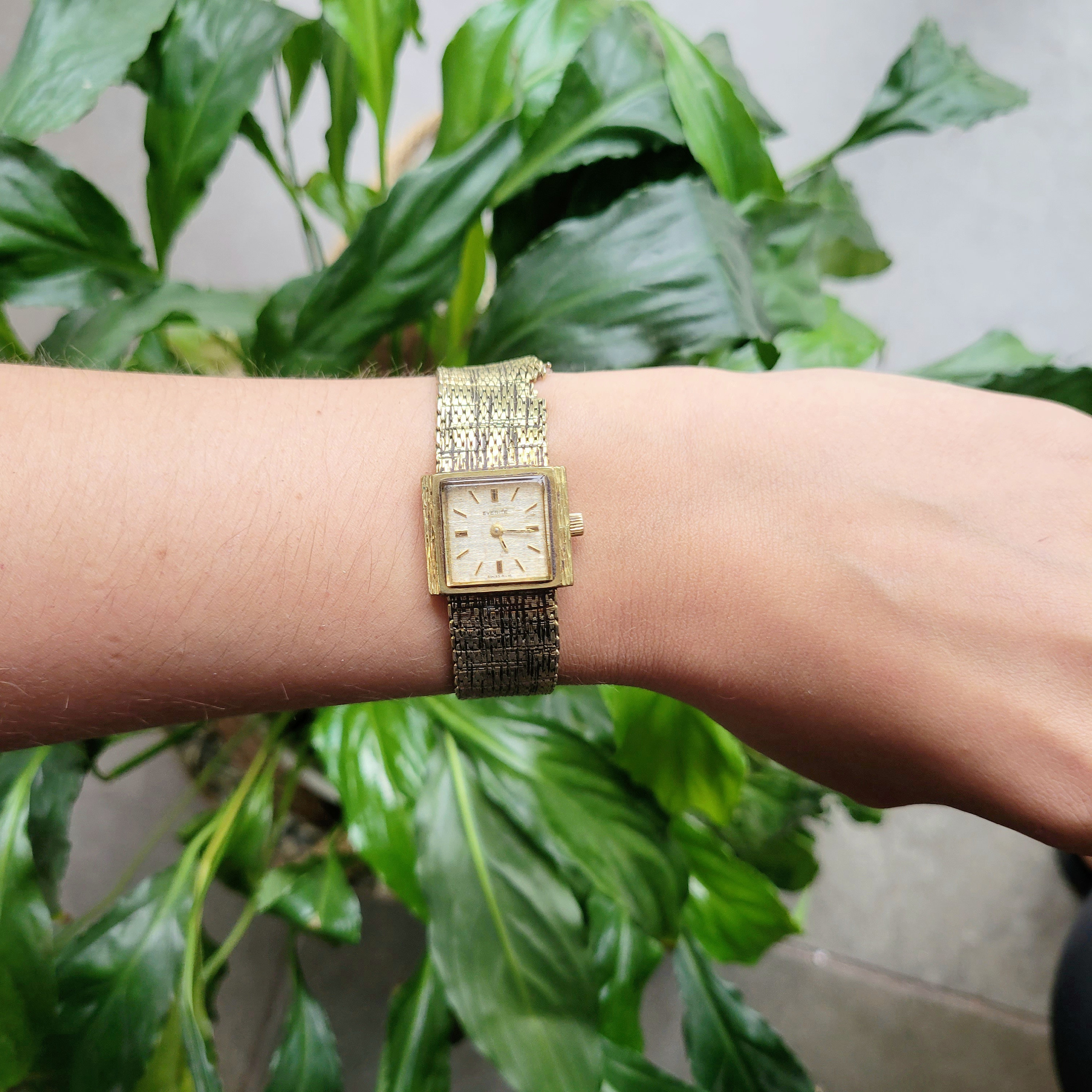 Everite gold deals watch