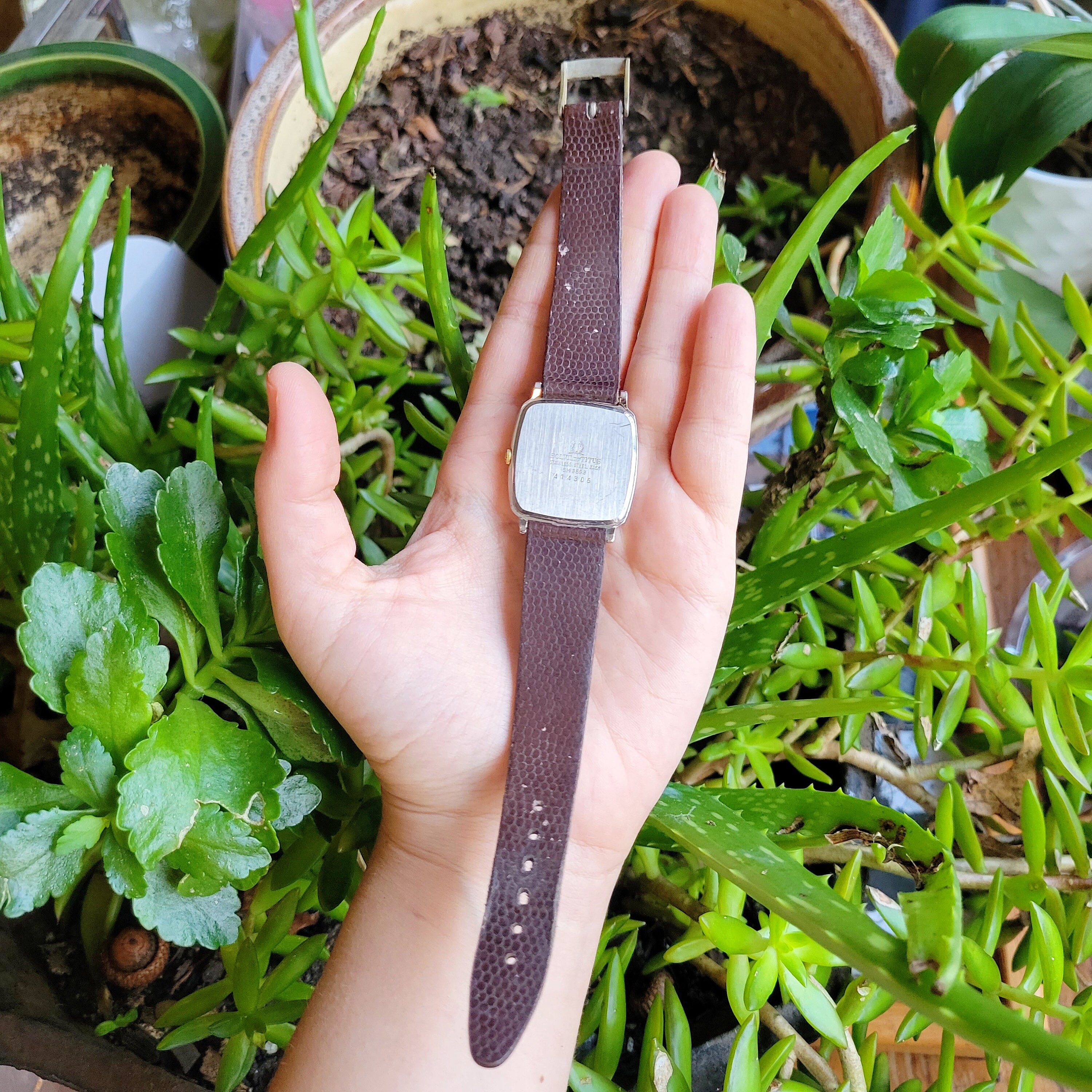 Vintage Solvil Et Titus Quartz Watch - Etsy UK
