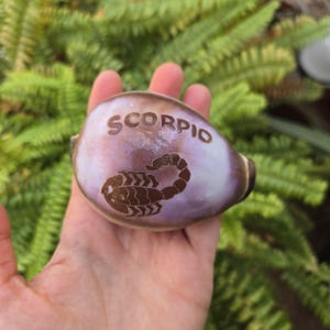 Vintage Handcarved Scorpio Zodiac Scorpion Shell Decoration